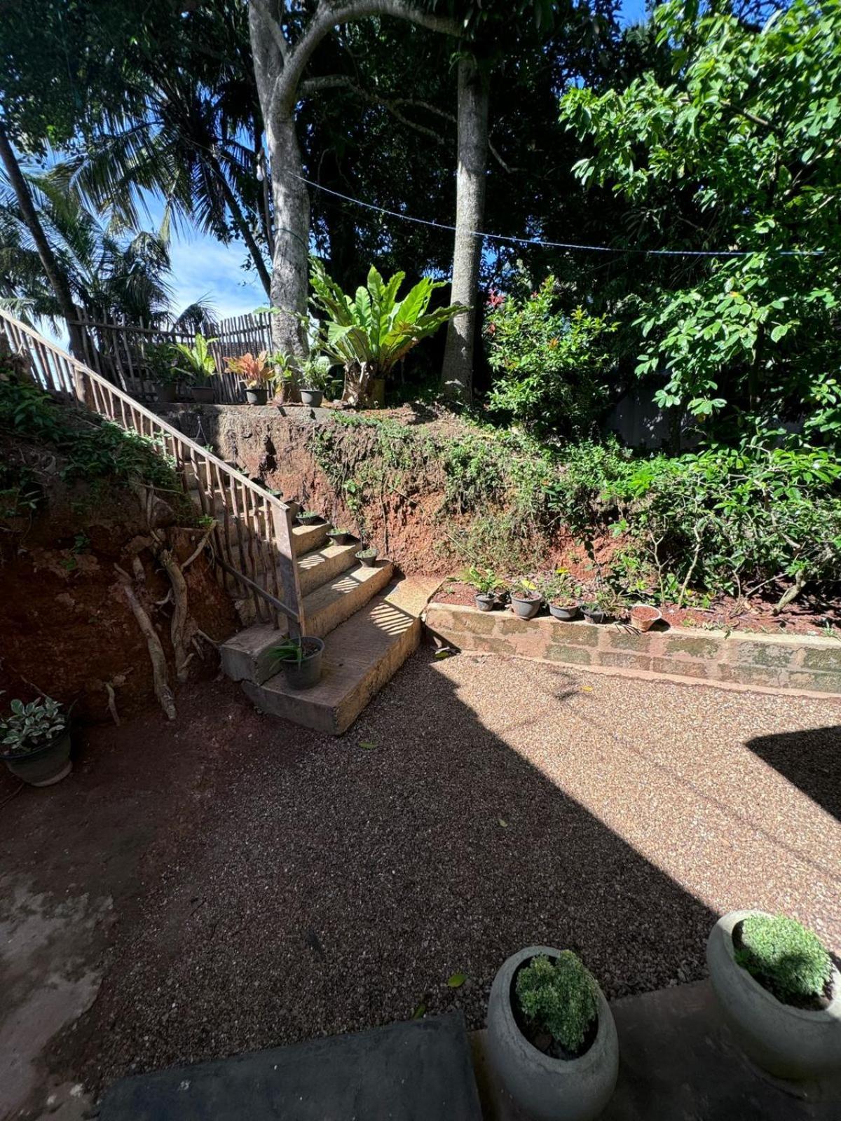 Green Nature Mirissa Exterior photo