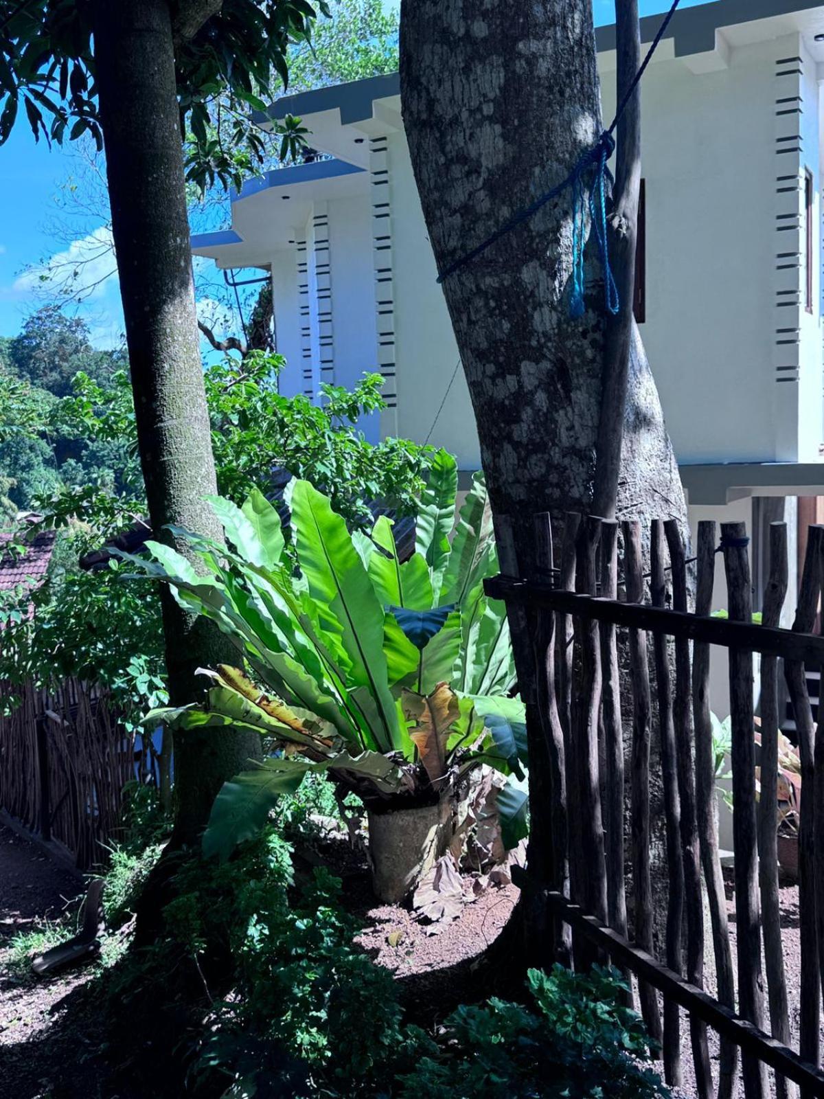 Green Nature Mirissa Exterior photo