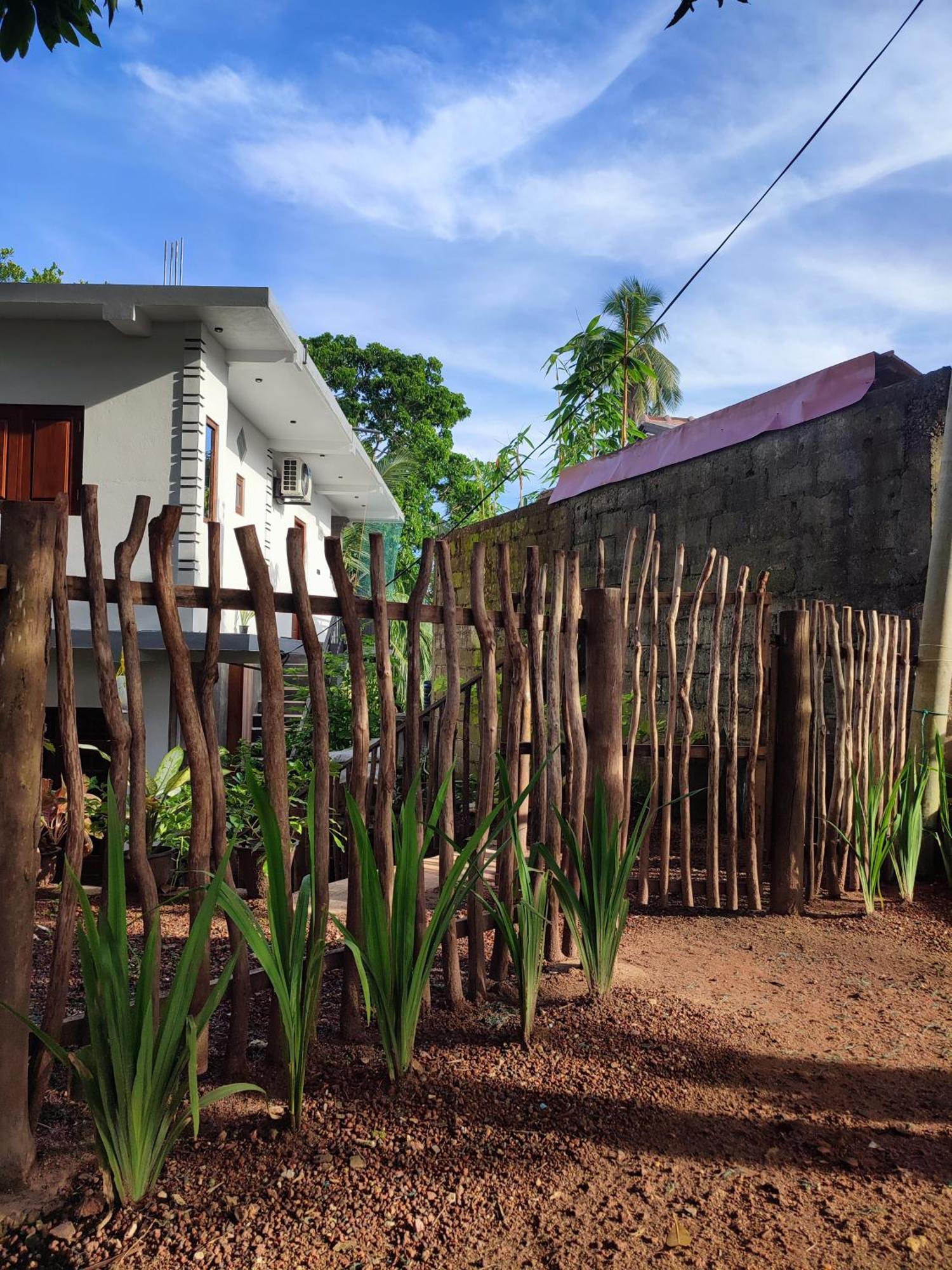 Green Nature Mirissa Exterior photo